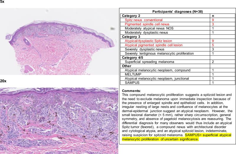 Figure 2a