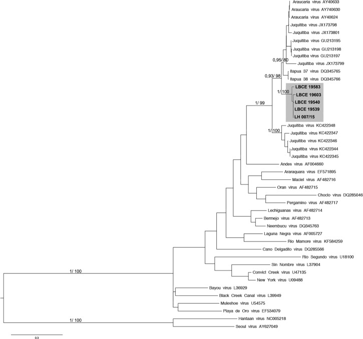 Figure 2.