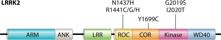 FIG 1