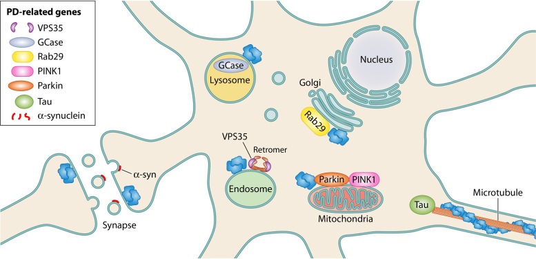 FIG 3