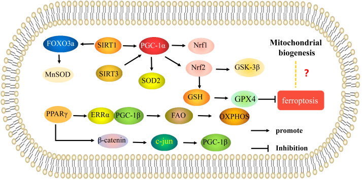 Figure 2