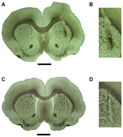 Figure 18