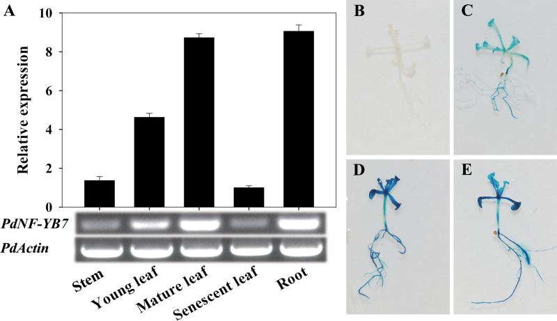 Fig. 3.