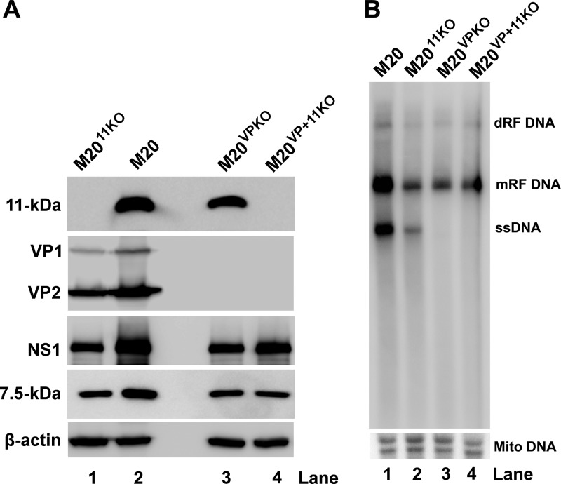 FIG 1