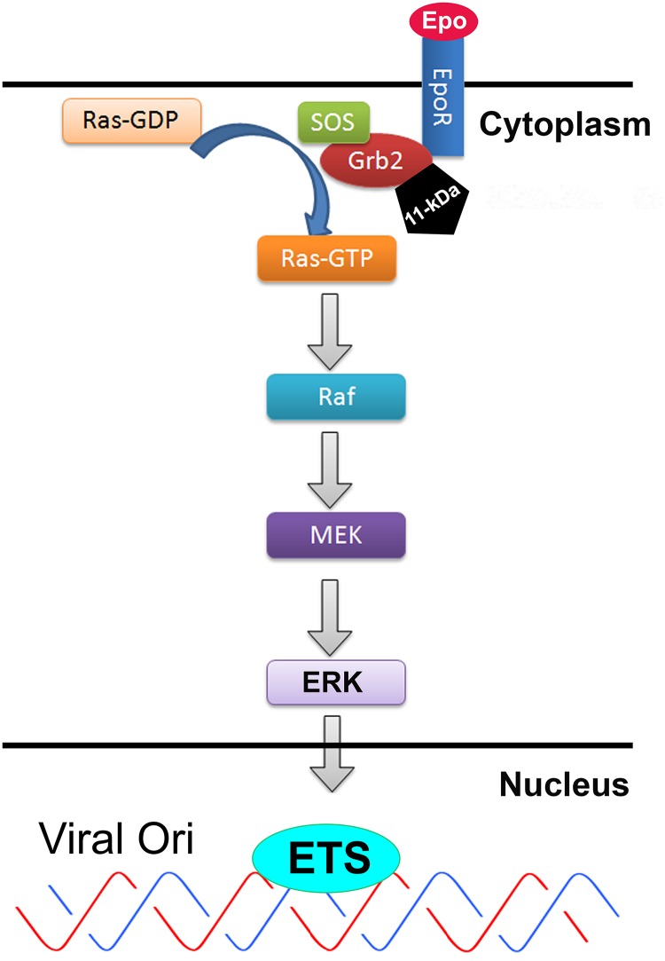 FIG 9