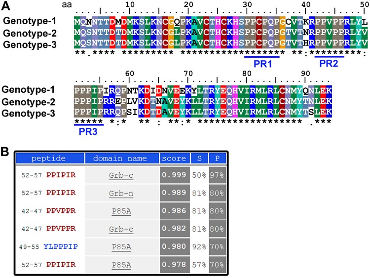 FIG 2