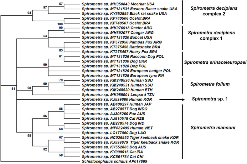 Fig. 3