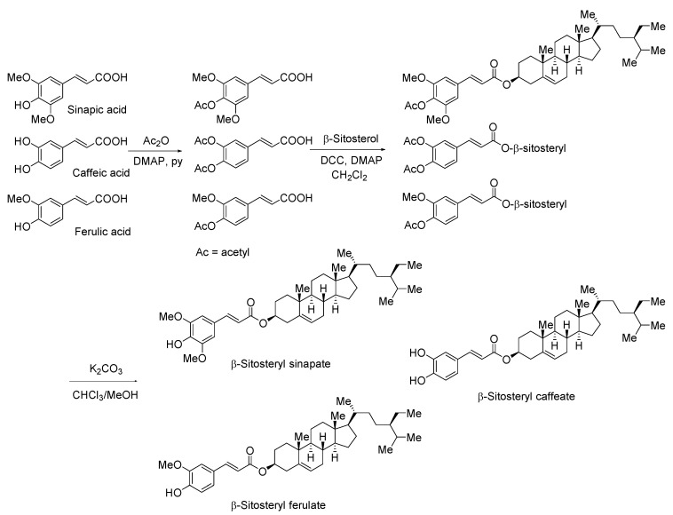 Scheme 1