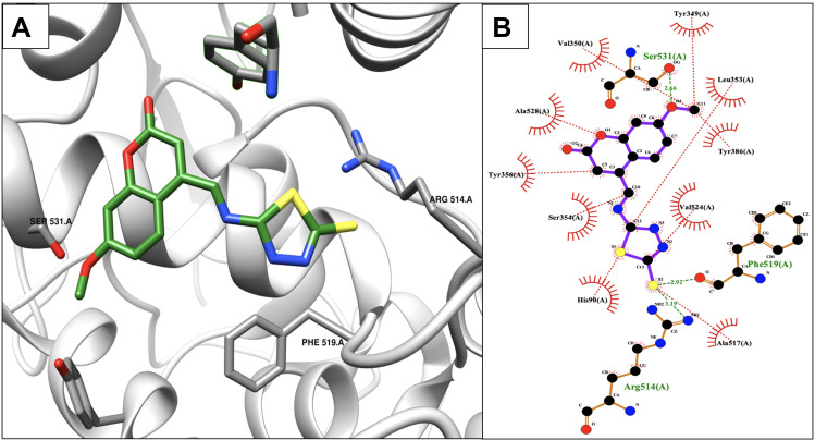 Figure 4