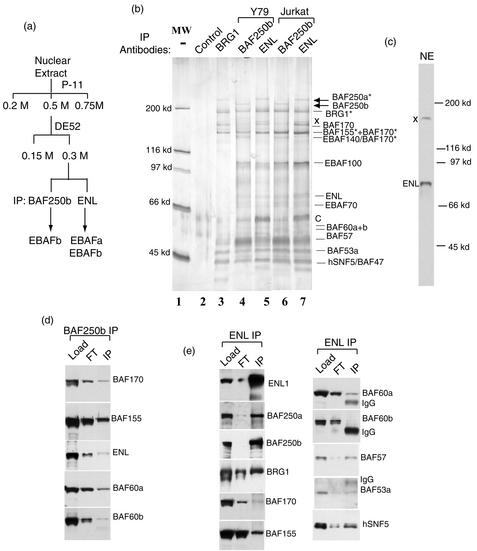 FIG. 5.