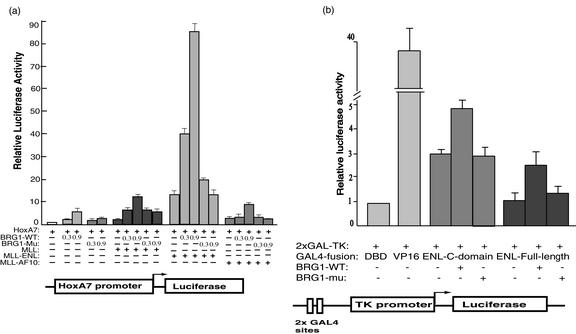 FIG. 7.