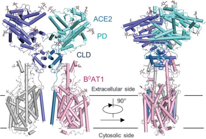 Fig. 3