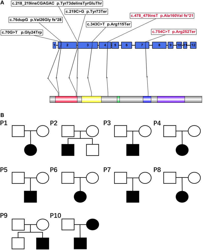 FIGURE 2