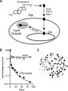 FIG. 1.