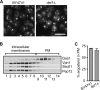 FIG. 6.