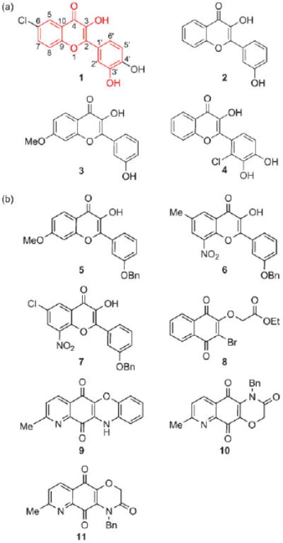 Fig. 1