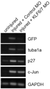 Figure 10