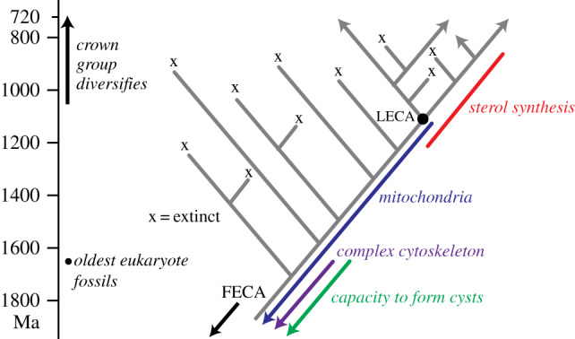 Figure 6.