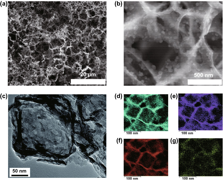 Fig. 13