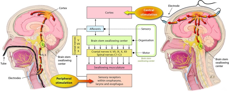 Fig. 3