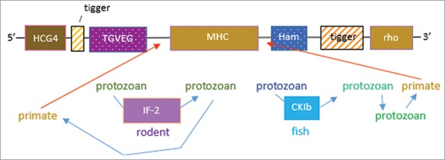 Figure 4.