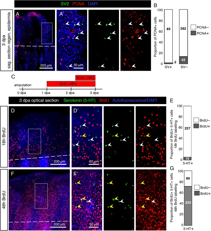 FIGURE 14