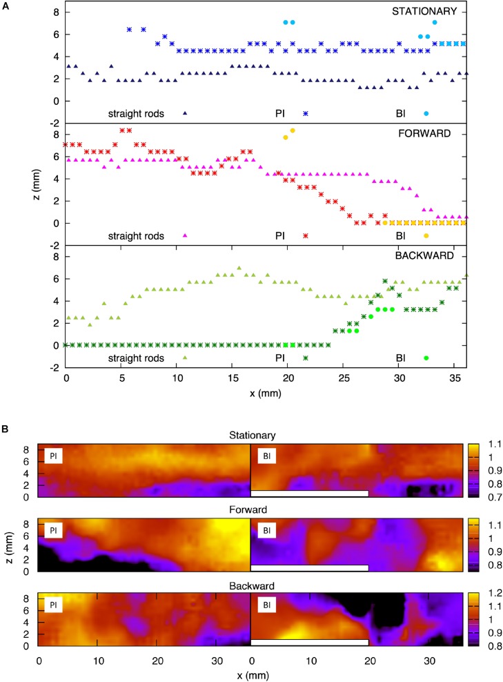 FIGURE 12