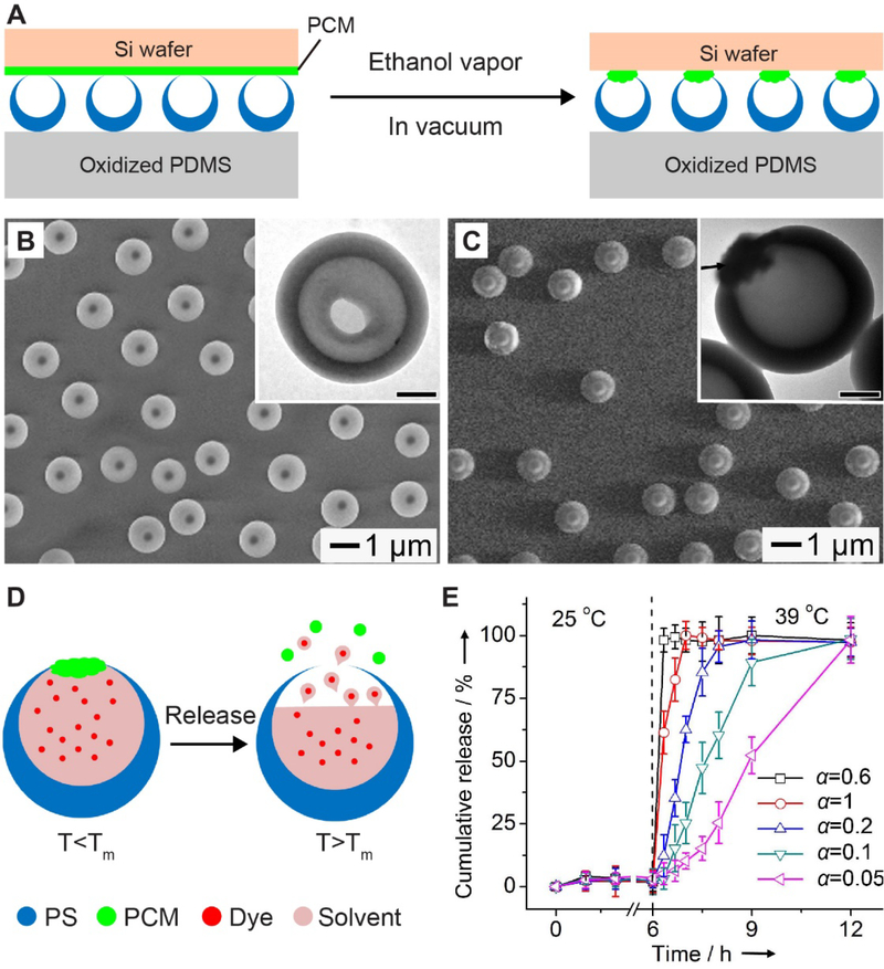 Figure 11.