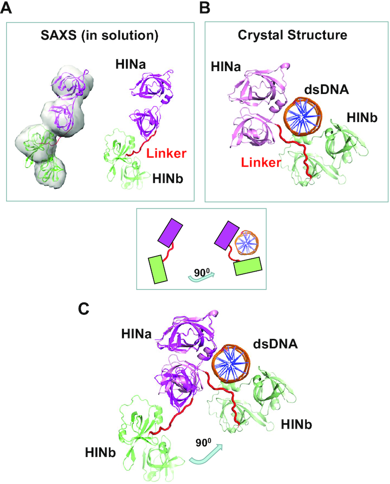 Figure 7.