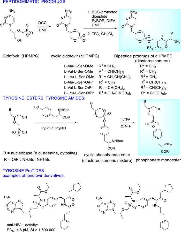 FIGURE 13