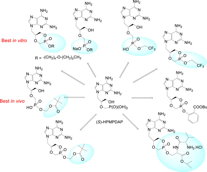 FIGURE 12