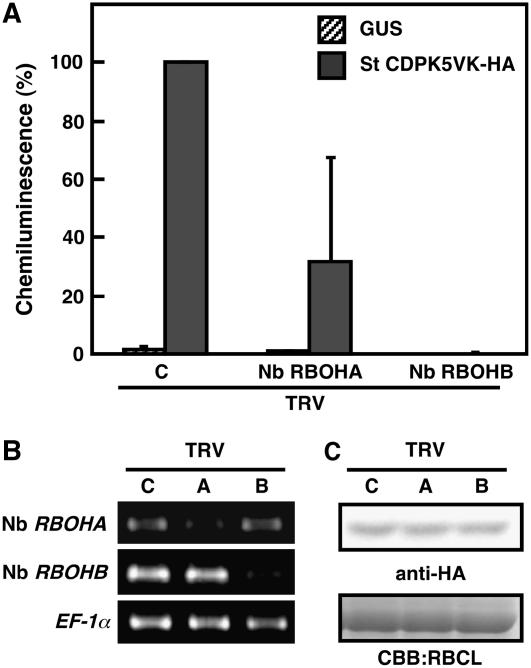 Figure 6.