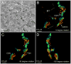 Fig. 4