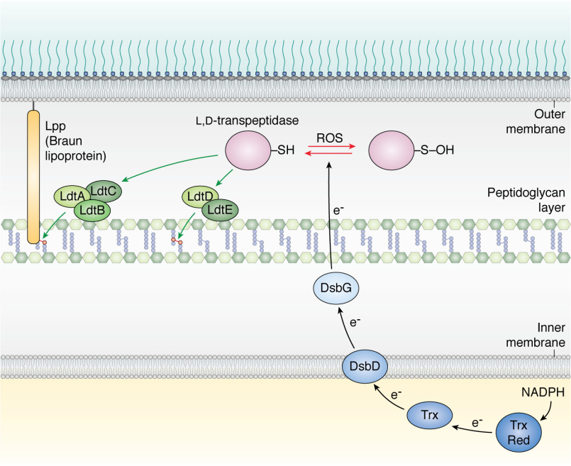 Figure 5.