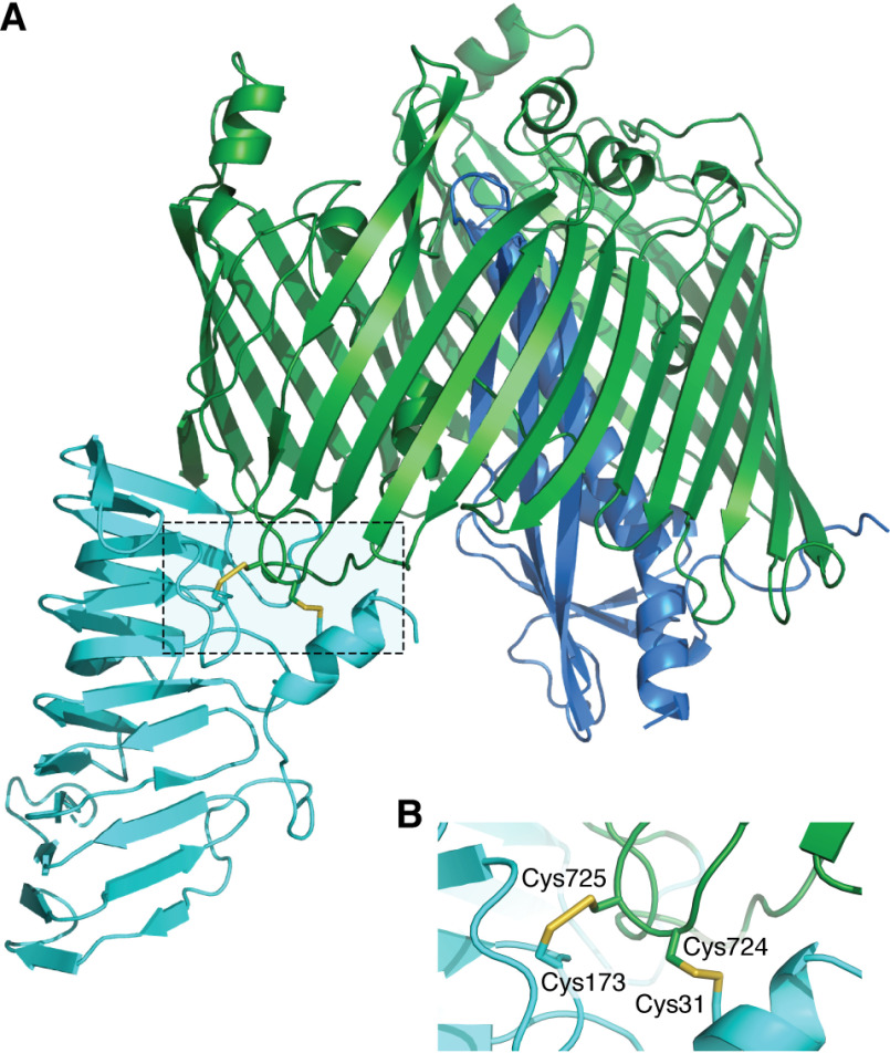 Figure 2.