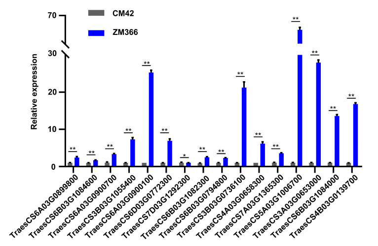 Figure 6