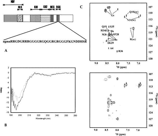 FIGURE 1.