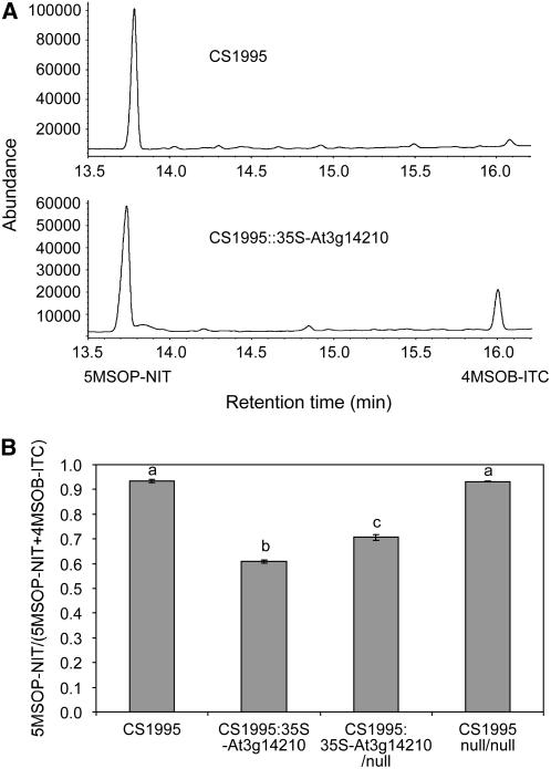 Figure 6.