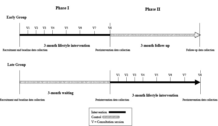 During phase I of the study, the early group received a 3-month lifestyle intervention program on improving physical activity and dietary patterns while the late group received usual standard health care, serving as controls during their 3-month waiting period. During phase II of the study, the early group received a 3-month follow-up without more intervention while the late group received the 3-month intervention. Recruitment and baseline data collection for both groups occurred at the start of phase I. In both the early and late groups, during their intervention period participants had weekly consultation sessions during the first month and then every other week for the following 2 months. In the early group, postintervention data were collected at the end of the 3-month intervention; at the same time, preintervention data were collected for the late group. At the end of phase II, follow-up data were collected for the early group and postintervention data were collected for the late group.