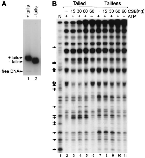 FIG. 7