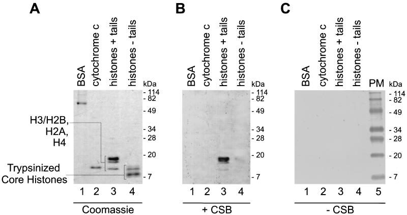 FIG. 6