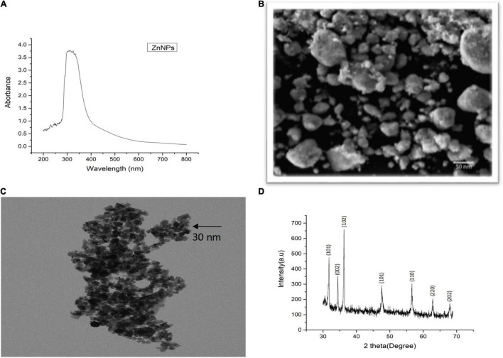 FIGURE 1