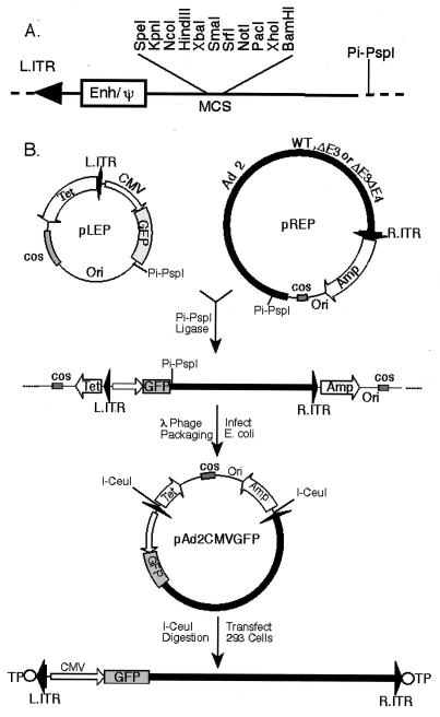 FIG. 1