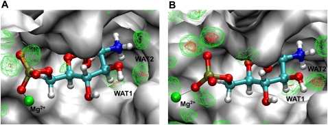 FIGURE 4.