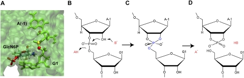 FIGURE 2.