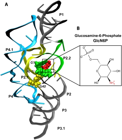 FIGURE 1.