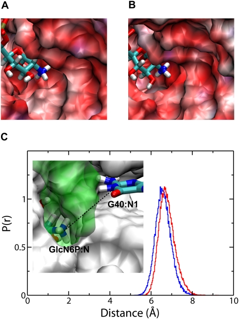 FIGURE 5.