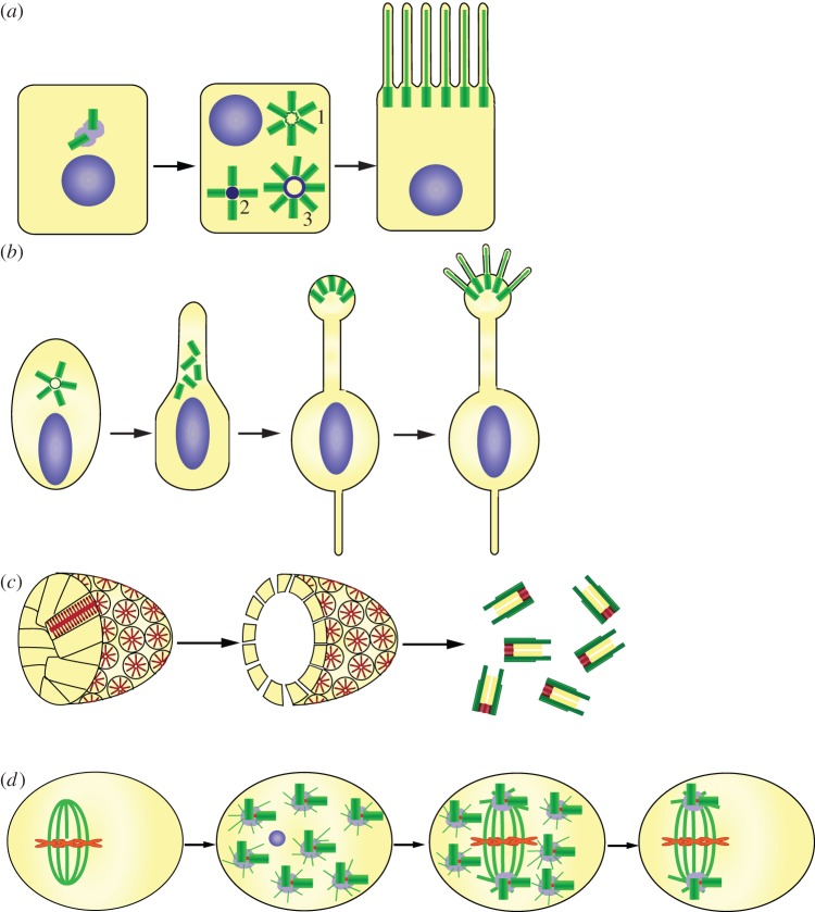 Figure 2.