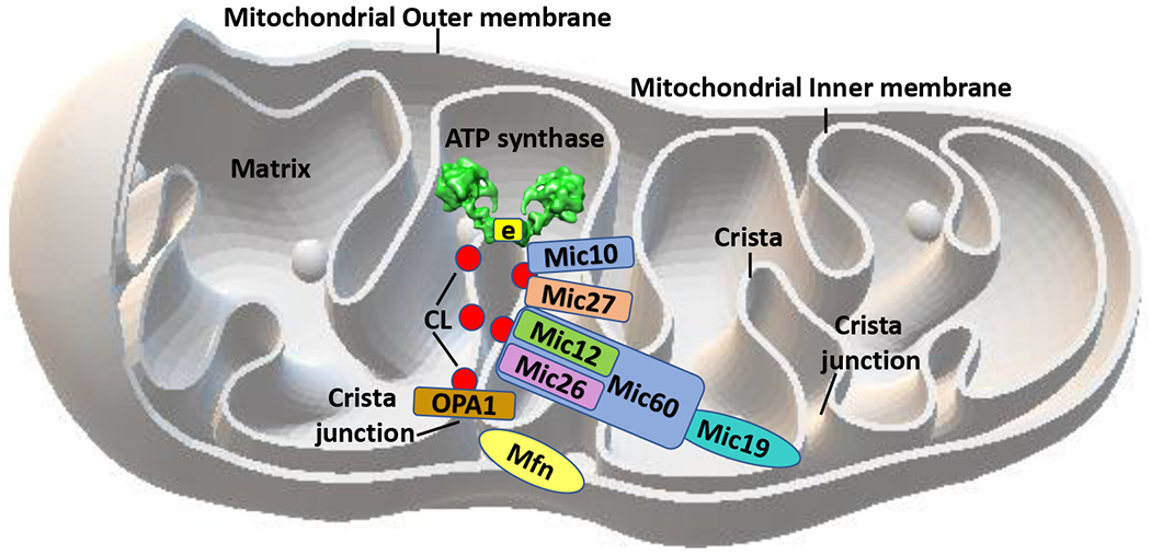 Figure 2.