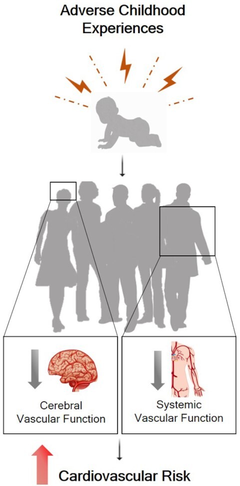 Graphical Abstract